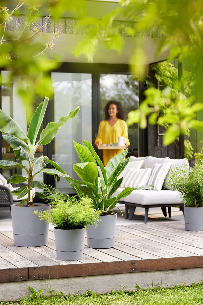 Greensense Aqua Care Rond 43