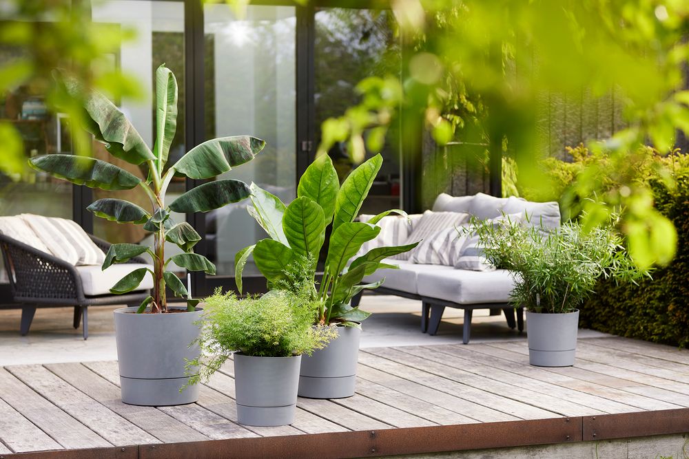 Greensense Aqua Care Rond 43