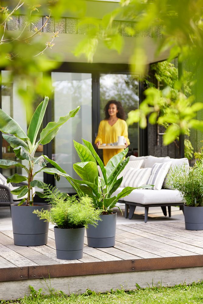 Greensense Aqua Care Rond 43