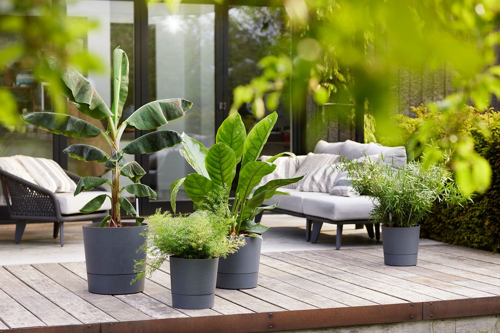 Greensense Aqua Care Rond 43