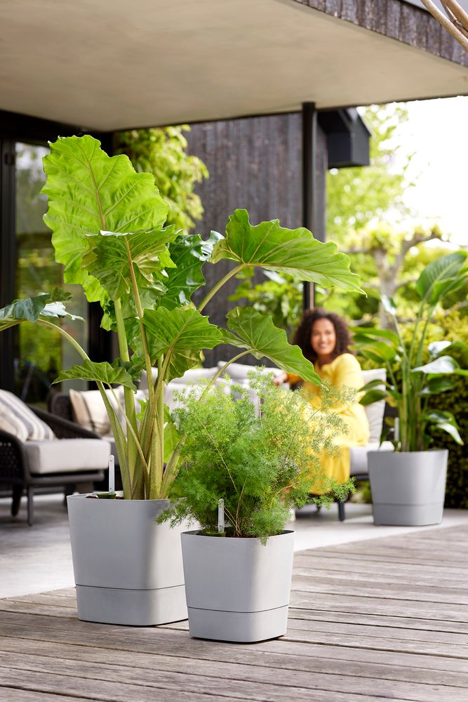 Greensense Aqua Care Vierkant 30