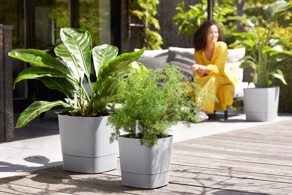 Greensense Aqua Care Vierkant 30
