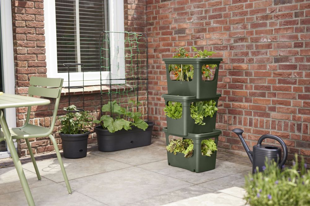 Green Basics Stack & Grow Large