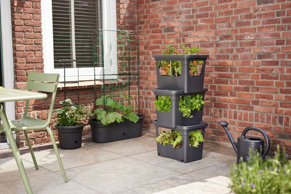 Green Basics Stack & Grow Large