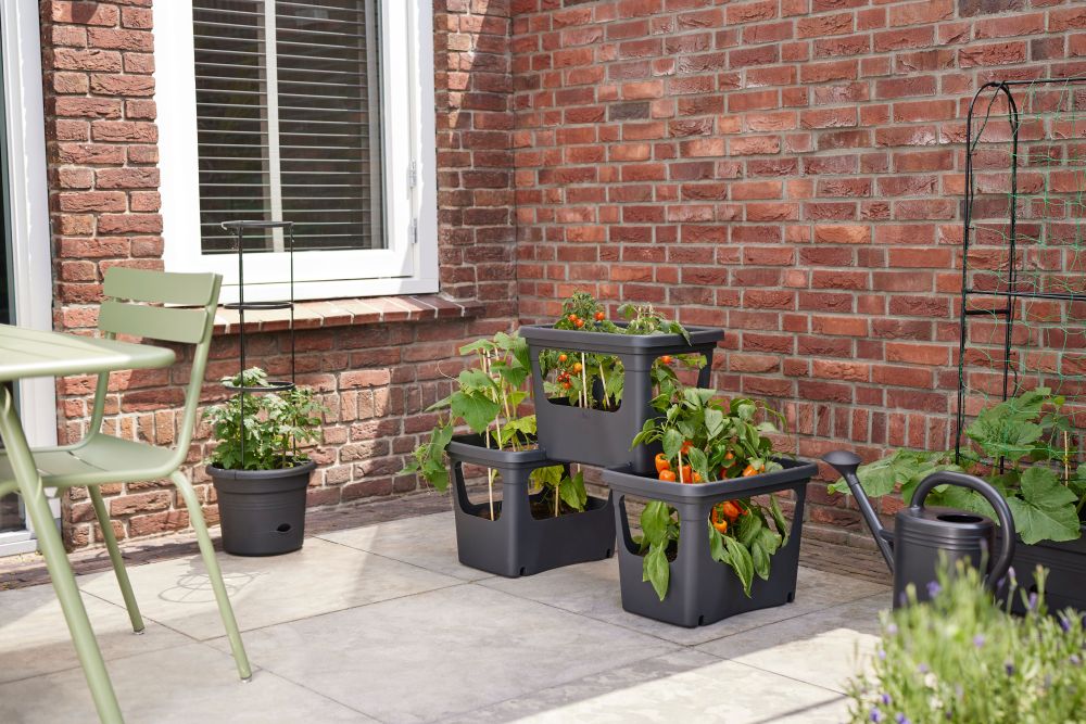 Green Basics Stack & Grow Large