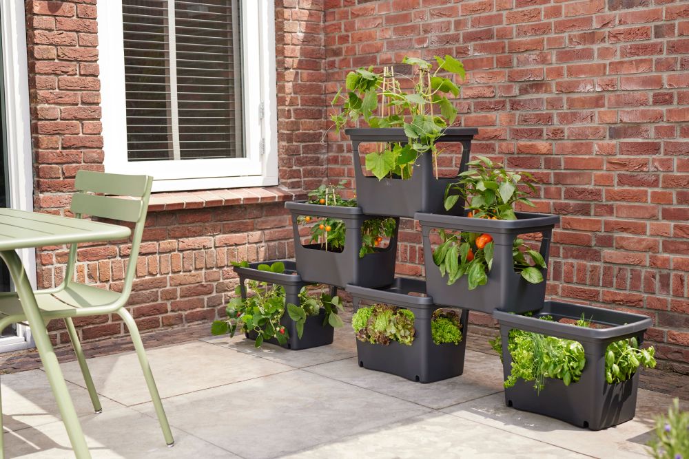 Green Basics Stack & Grow Large