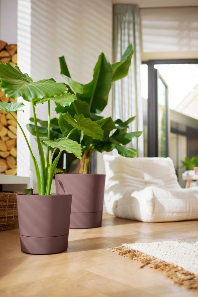 Greensense Aqua Care Rond 35