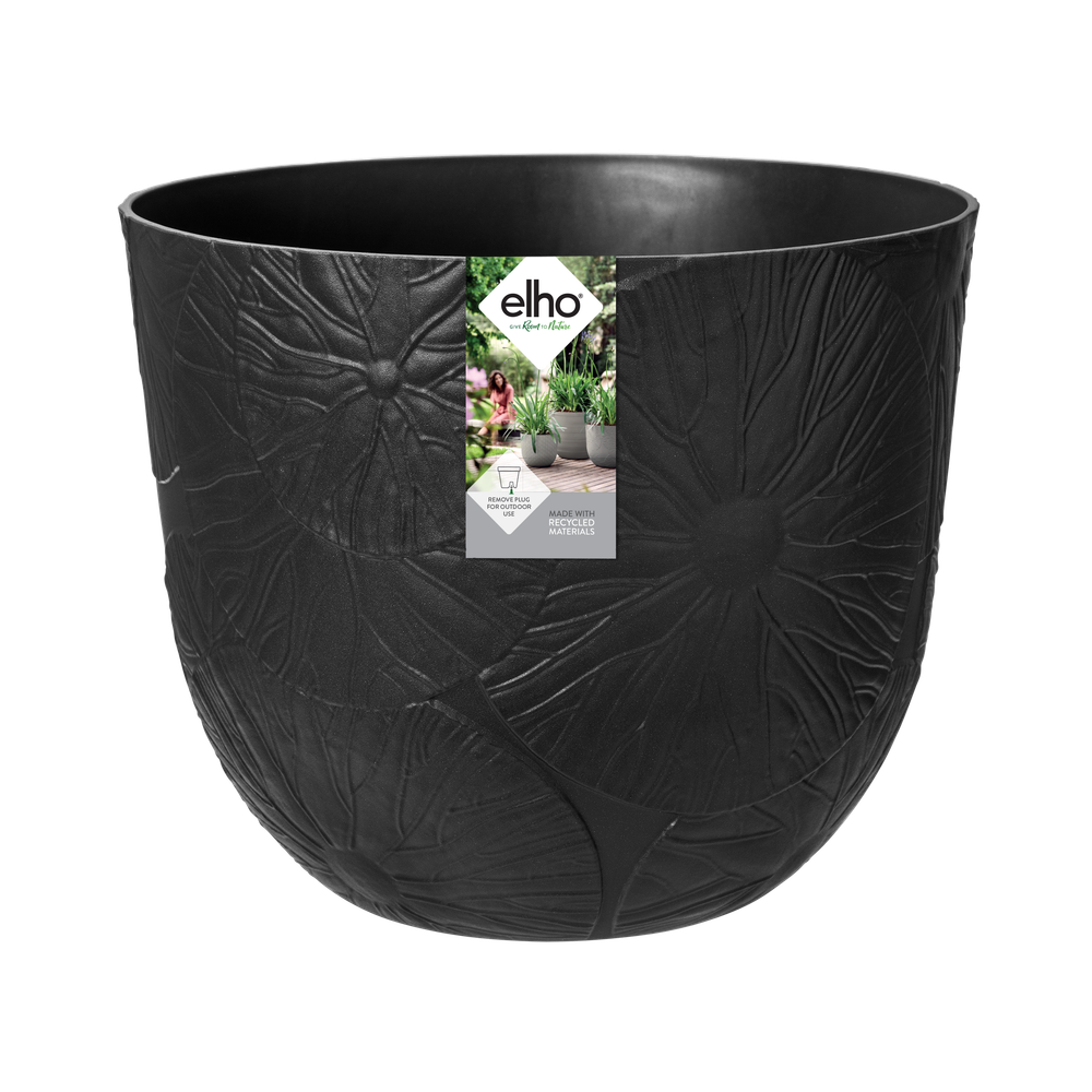 Fuente Lily Rond 38