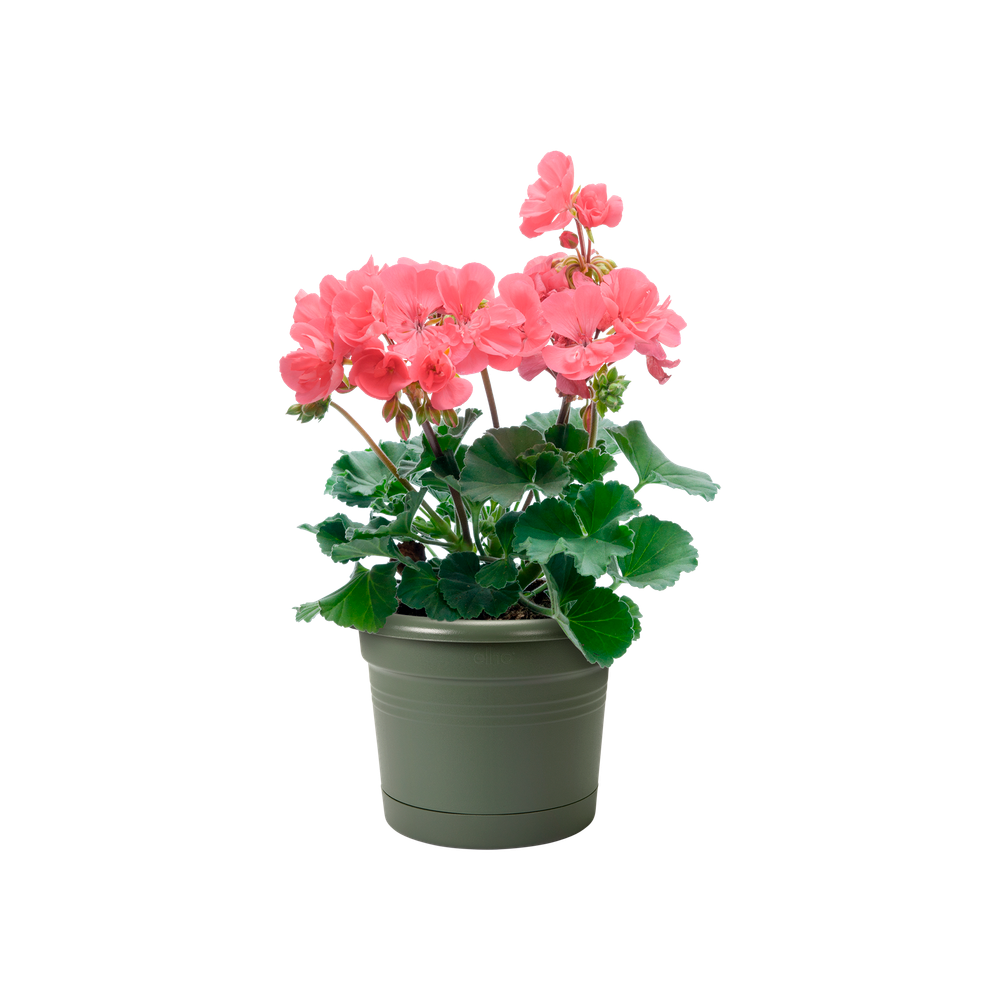 Green Basics Balkon Potholder All-in-1