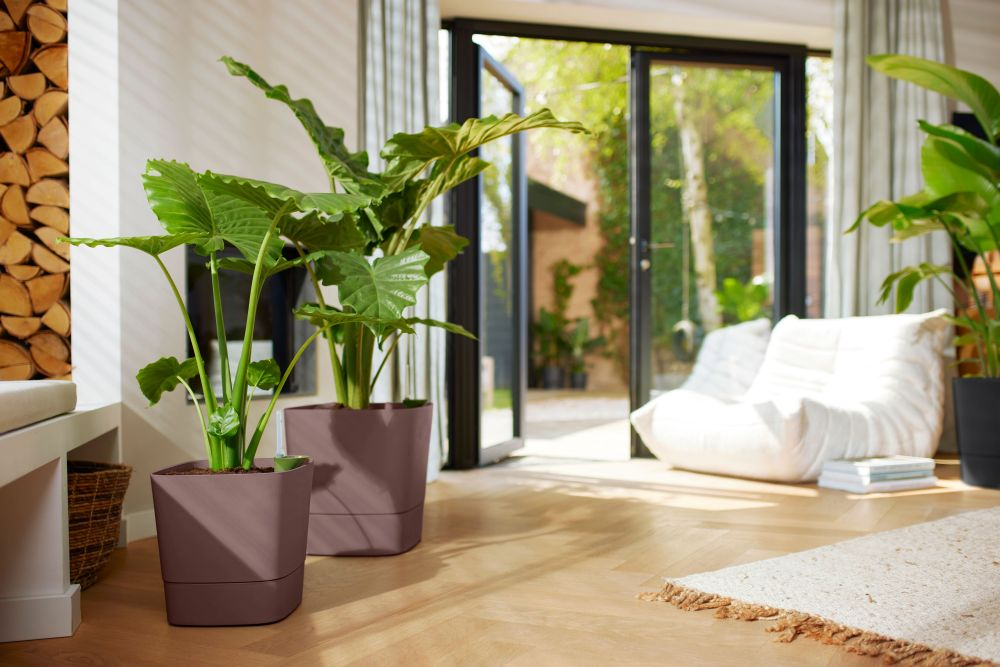 Greensense Aqua Care Vierkant 38