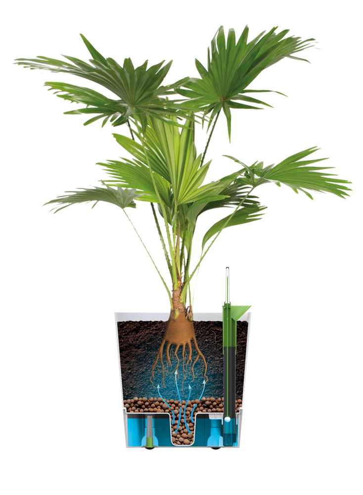 Greensense Aqua Care Vierkant 30