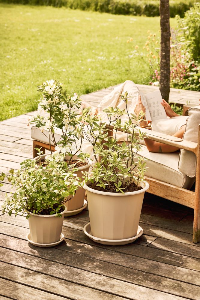 Niva Rond 18