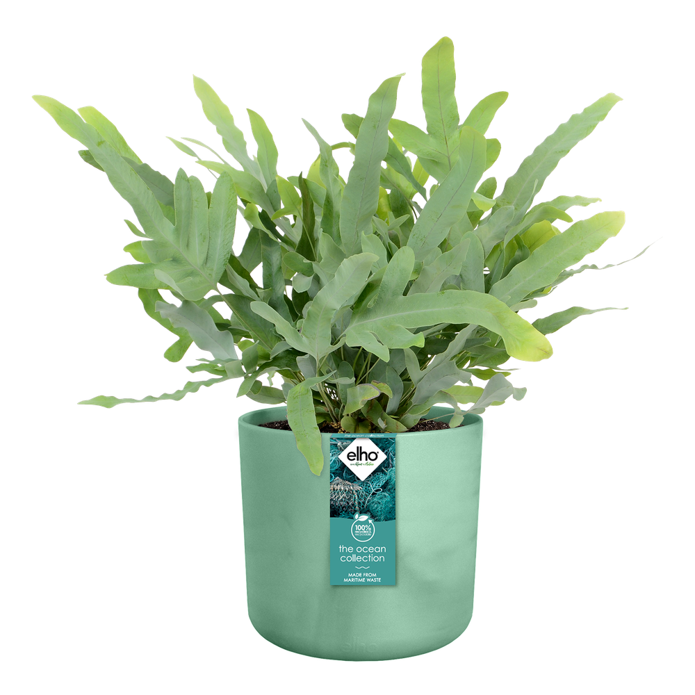 BNDL Ocean Rond 22+swi21