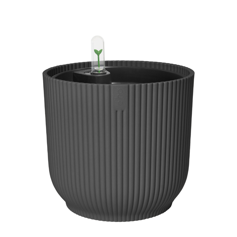 All-in-1 Vibes Rond 25 + Swi 24
