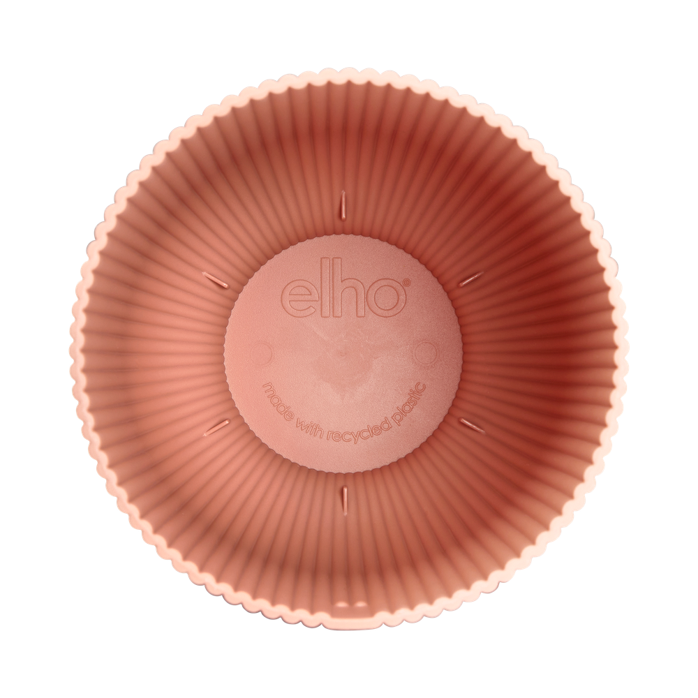 Vibes Fold Coupe 14
