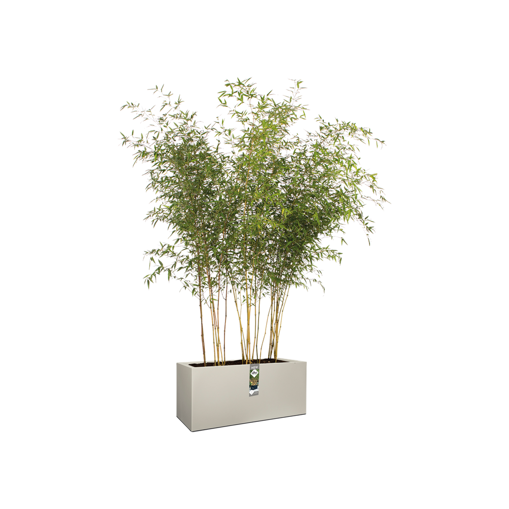 Vivo Matt Finish Lang Wielen 90