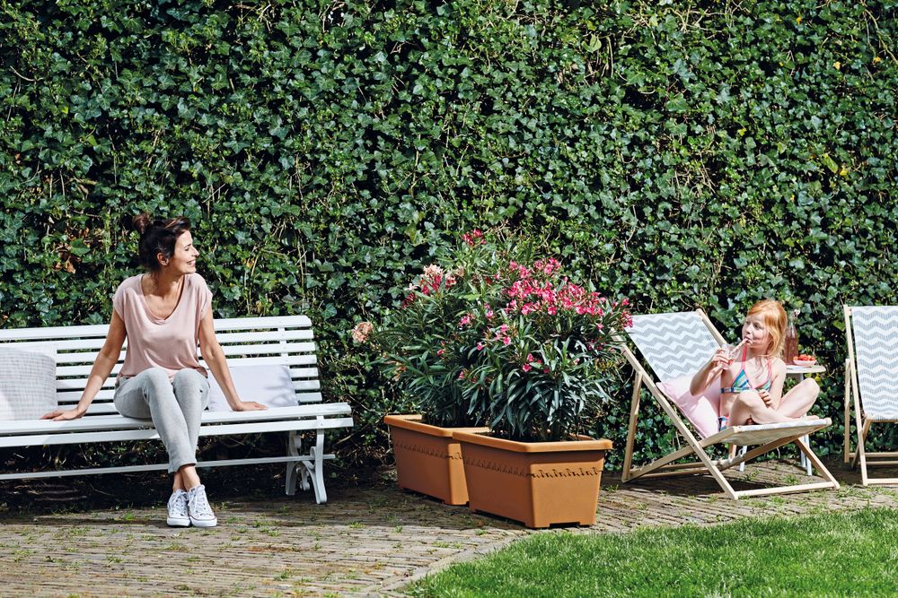 Algarve Terrace Wielen 80