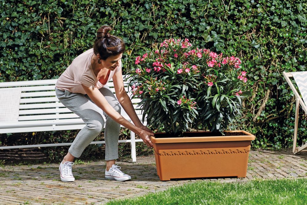 Algarve Terrace Wielen 80