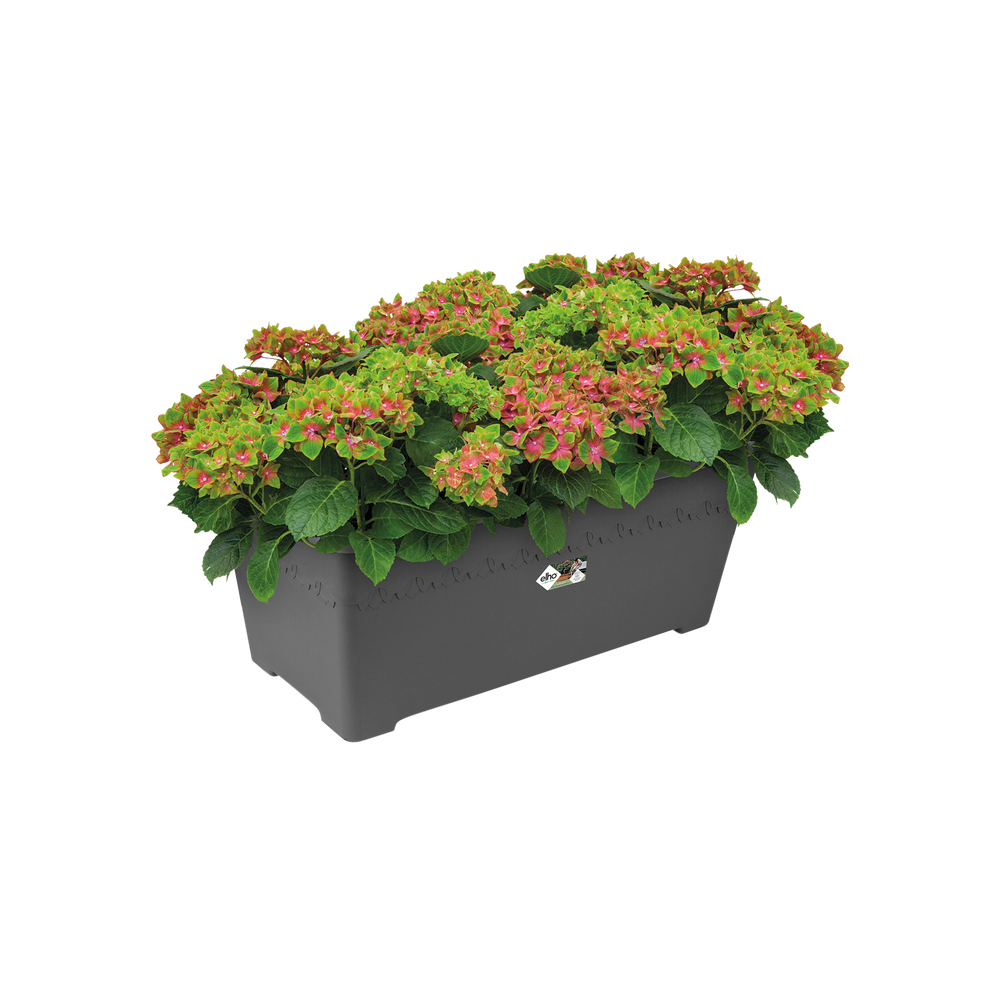 Algarve Terrace Wielen 80