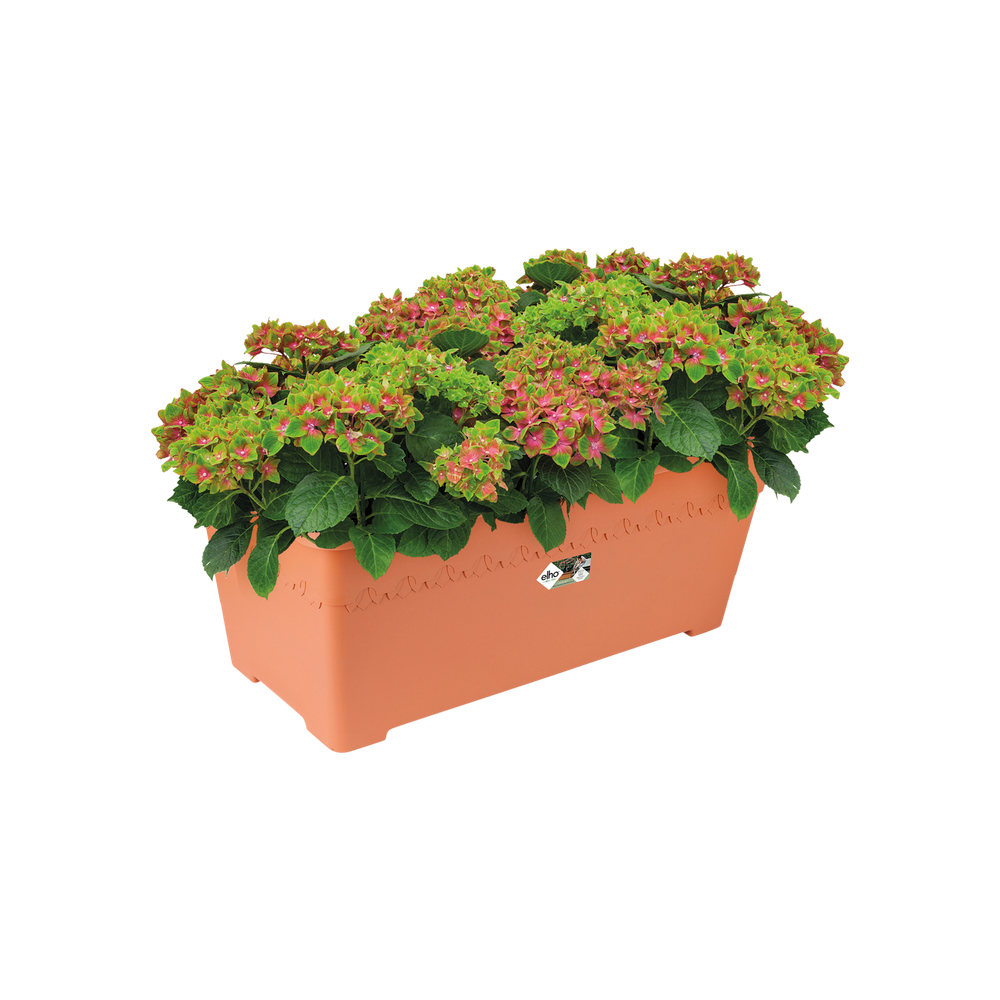 Algarve Terrace Wielen 80