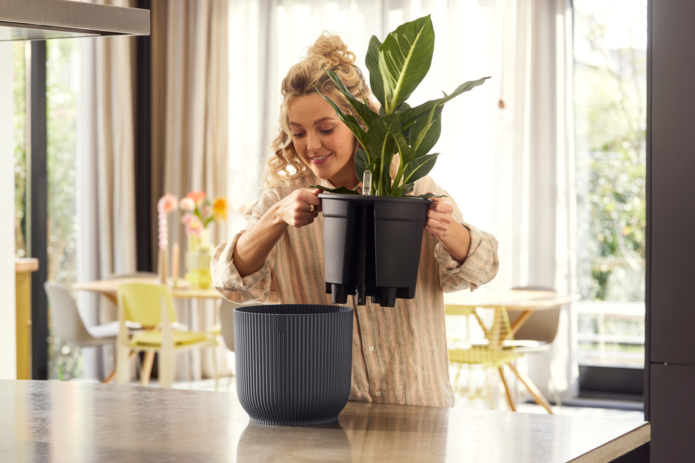 All-in-1 Vibes Rond 25 + Swi 24
