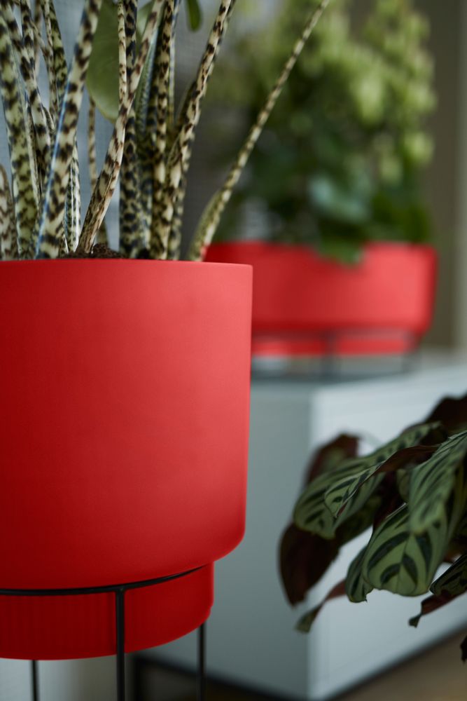 B.for Studio Rond 30