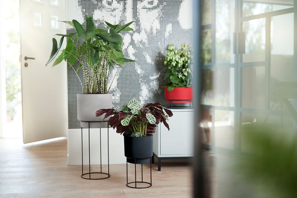 B.for Studio Schaal 30