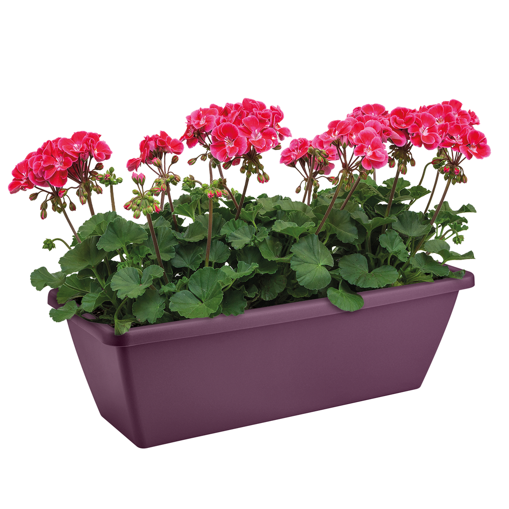 Barcelona Balkonbak 40