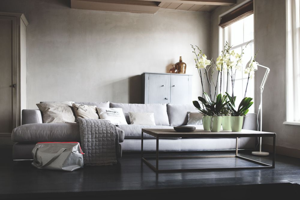 Brussels Diamond Orchidee Hoog 10,5