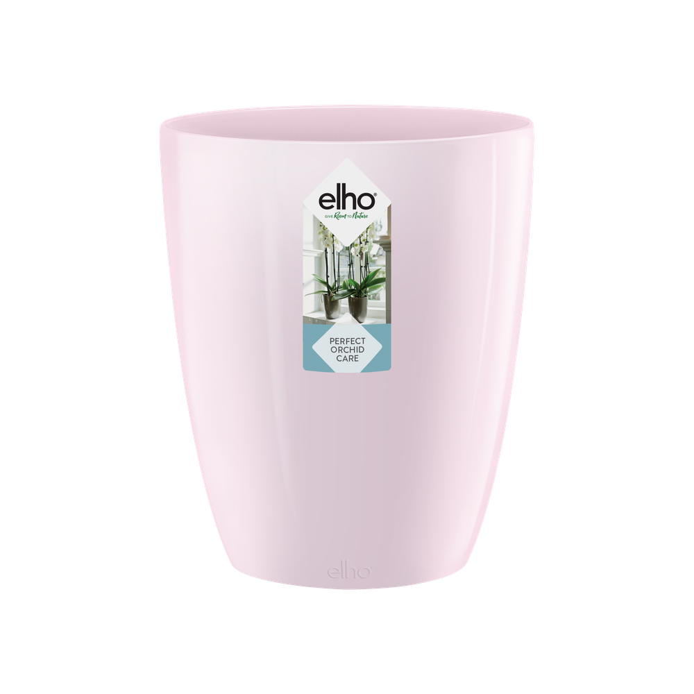 Brussels Diamond Orchidee Hoog 10,5