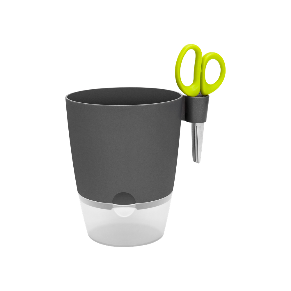 Brussels Kruiden Allin1 13