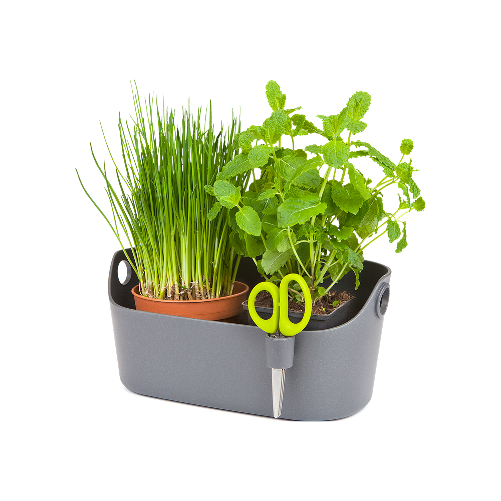 Brussels Kruiden Station 30