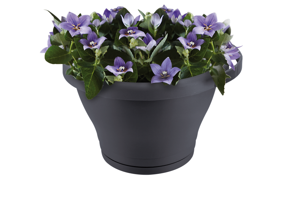 Corsica Regenpijpbakje 24