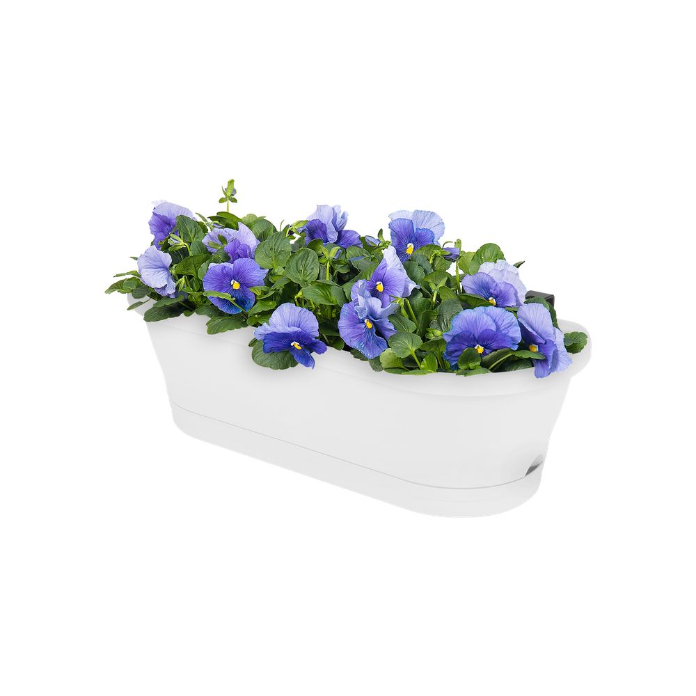 Corsica Easy Balcony 60