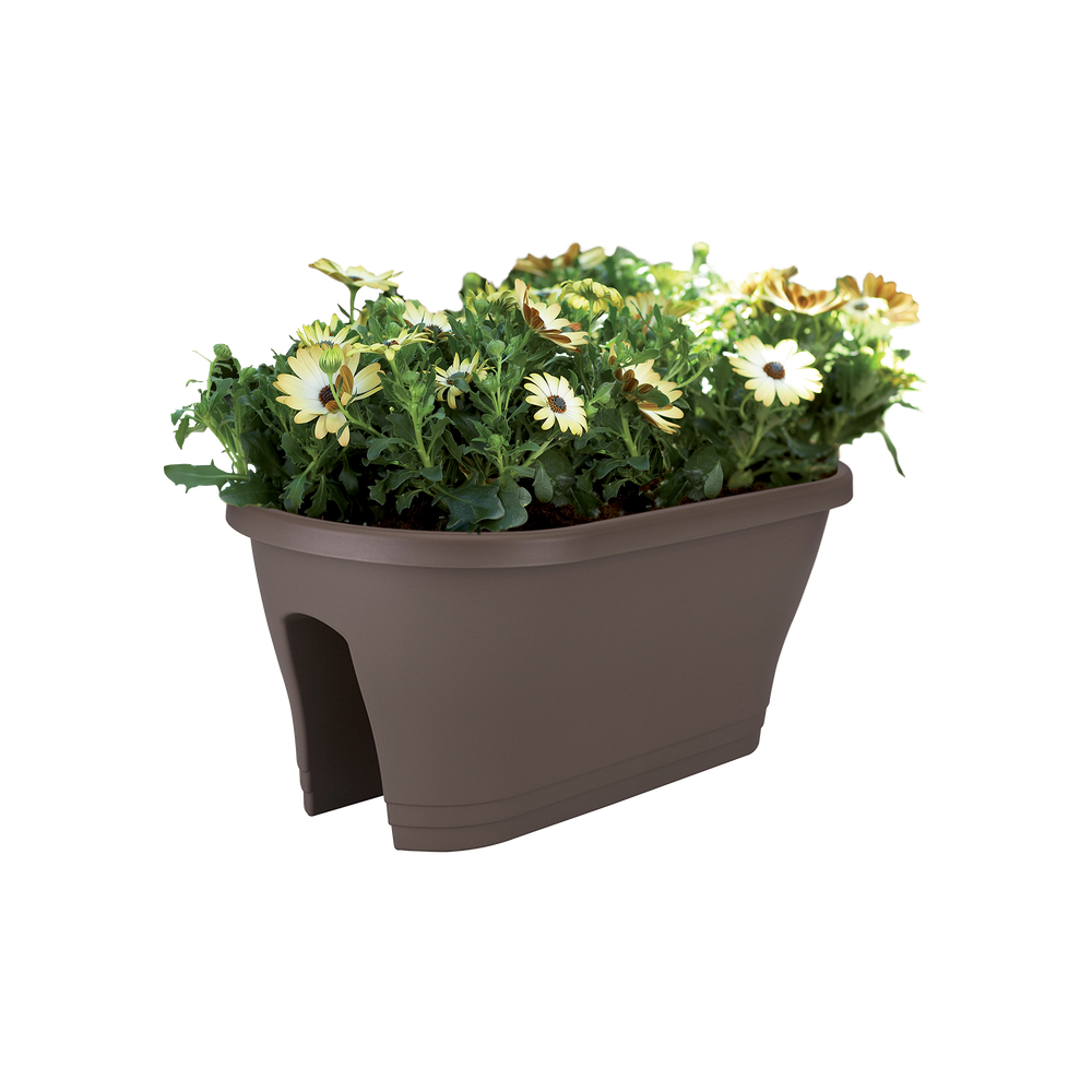 Corsica Flower Bridge 60