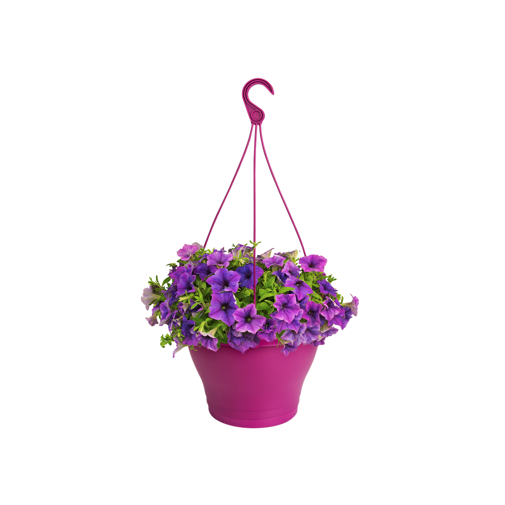 Corsica Hangschaal 30