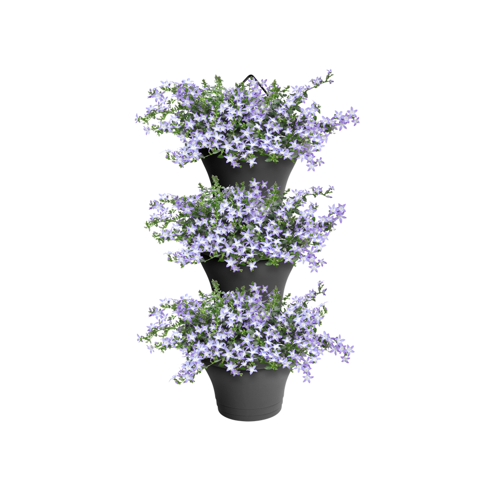 Corsica Vertical Forest 24 Set/3