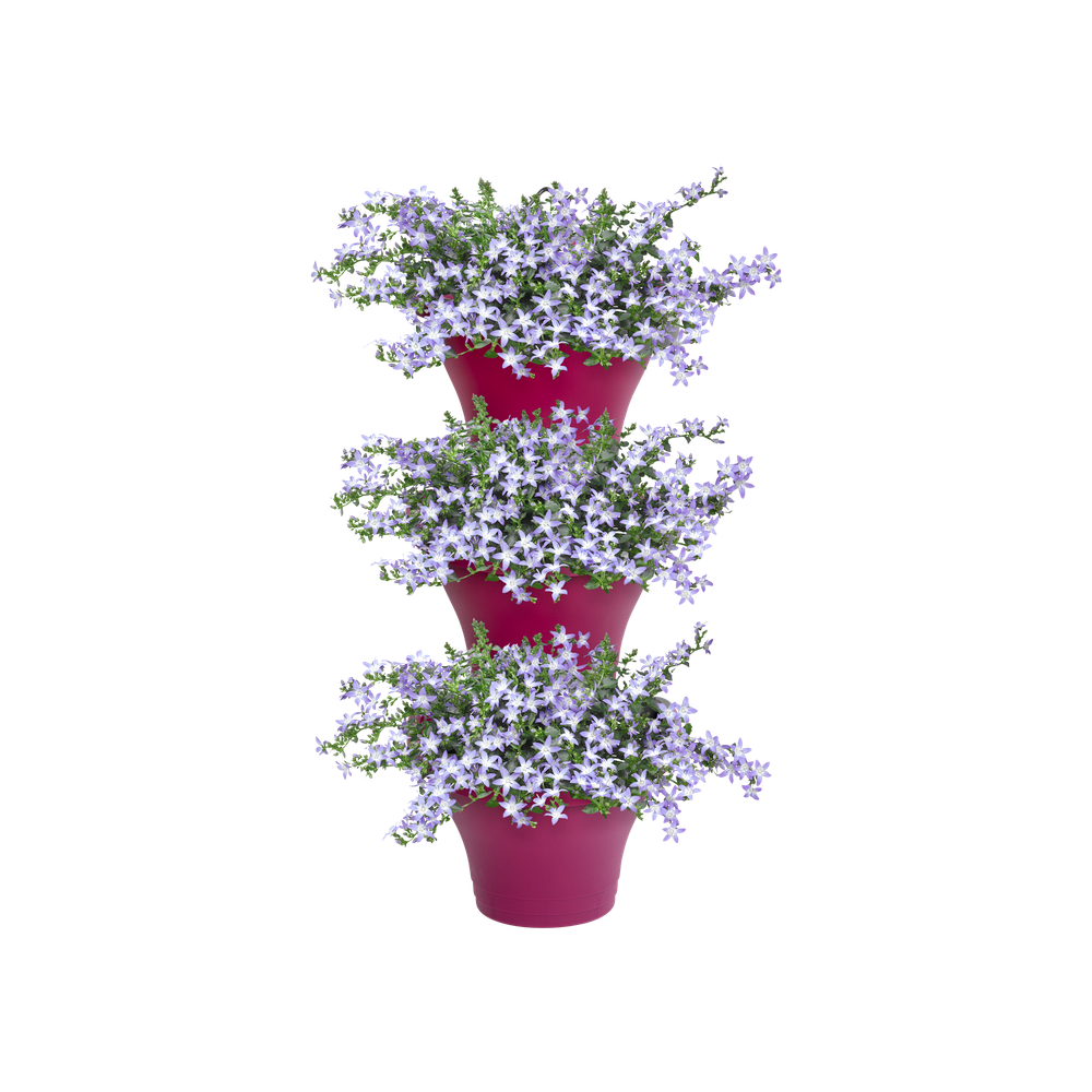 Corsica Vertical Forest 24 Set/3
