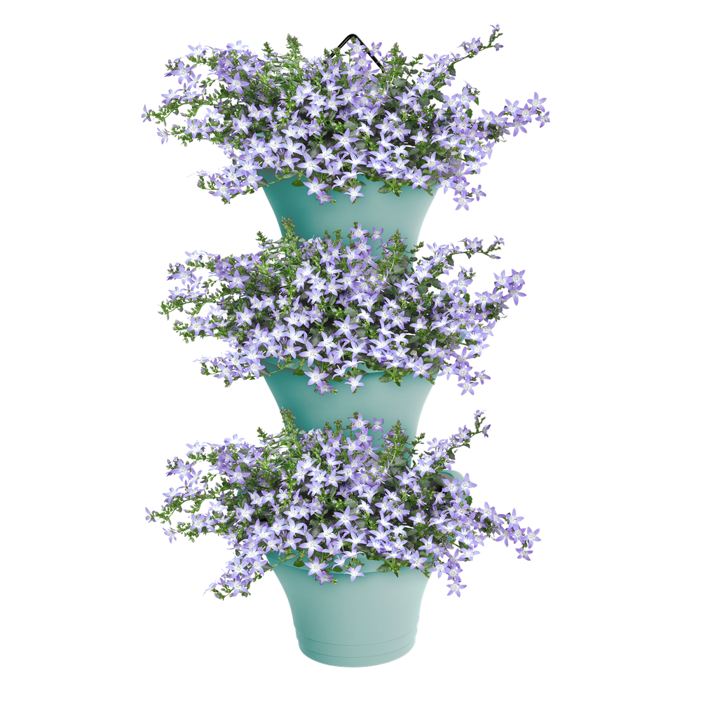 Corsica Vertical Forest 24 Set/3