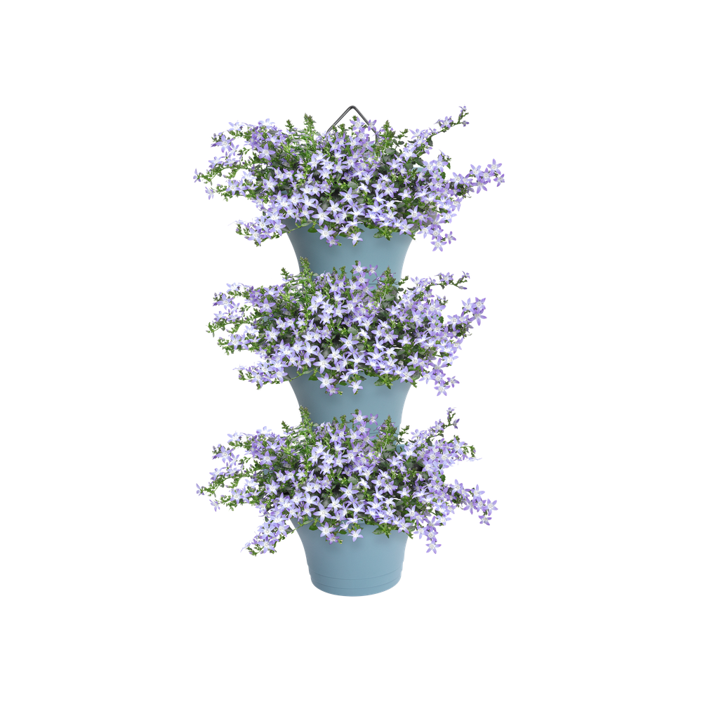 Corsica Vertical Forest 24 Set/3
