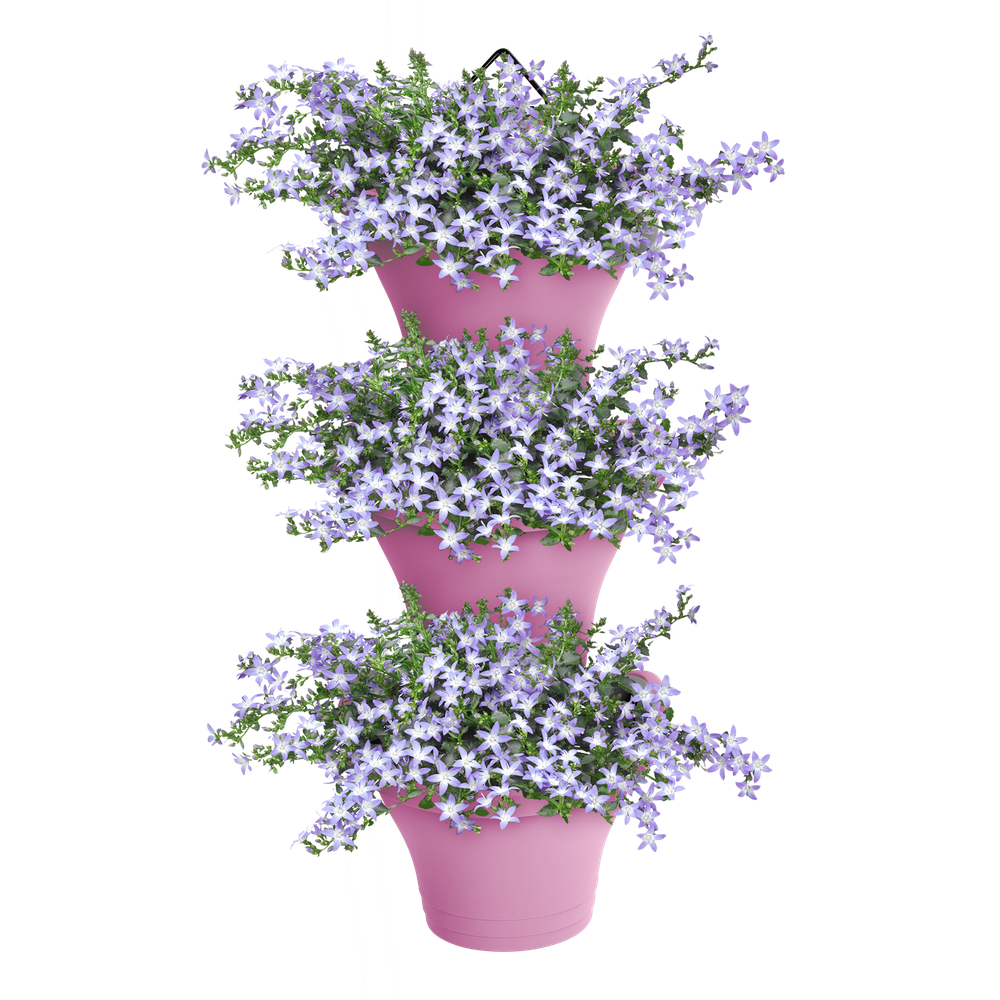 Corsica Vertical Forest 24 Set/3