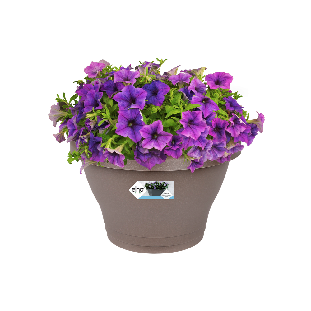 Corsica Wandbak 25