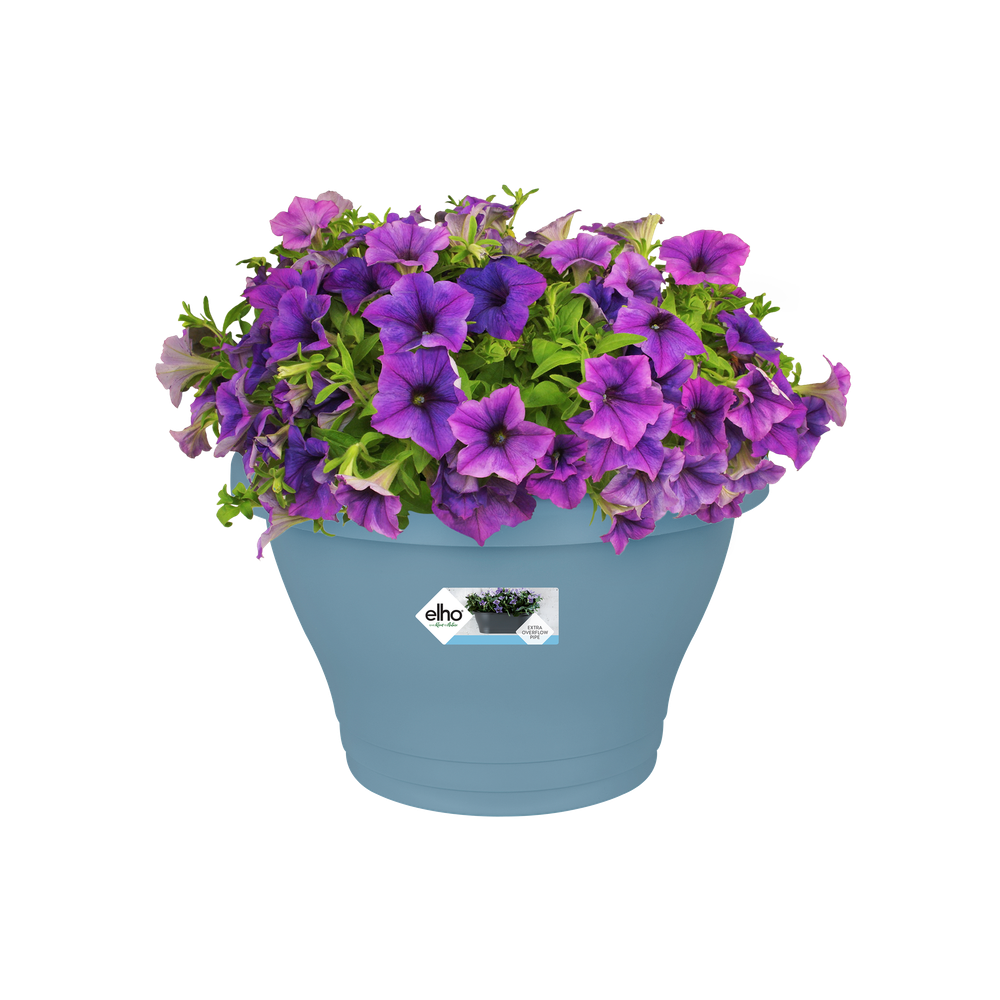 Corsica Wandbak 25