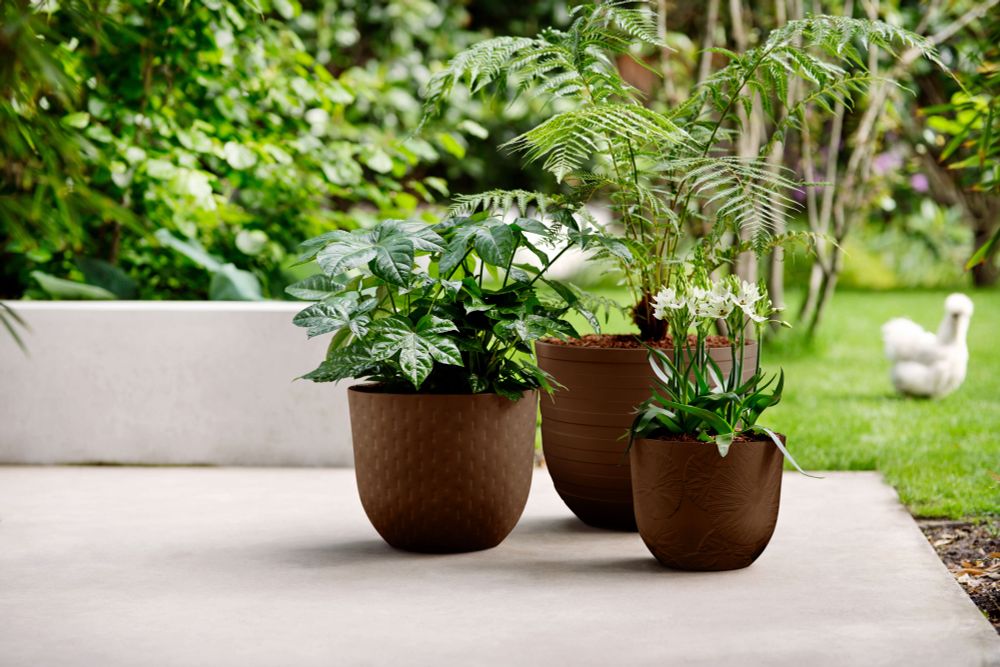Fuente Lily Rond 30