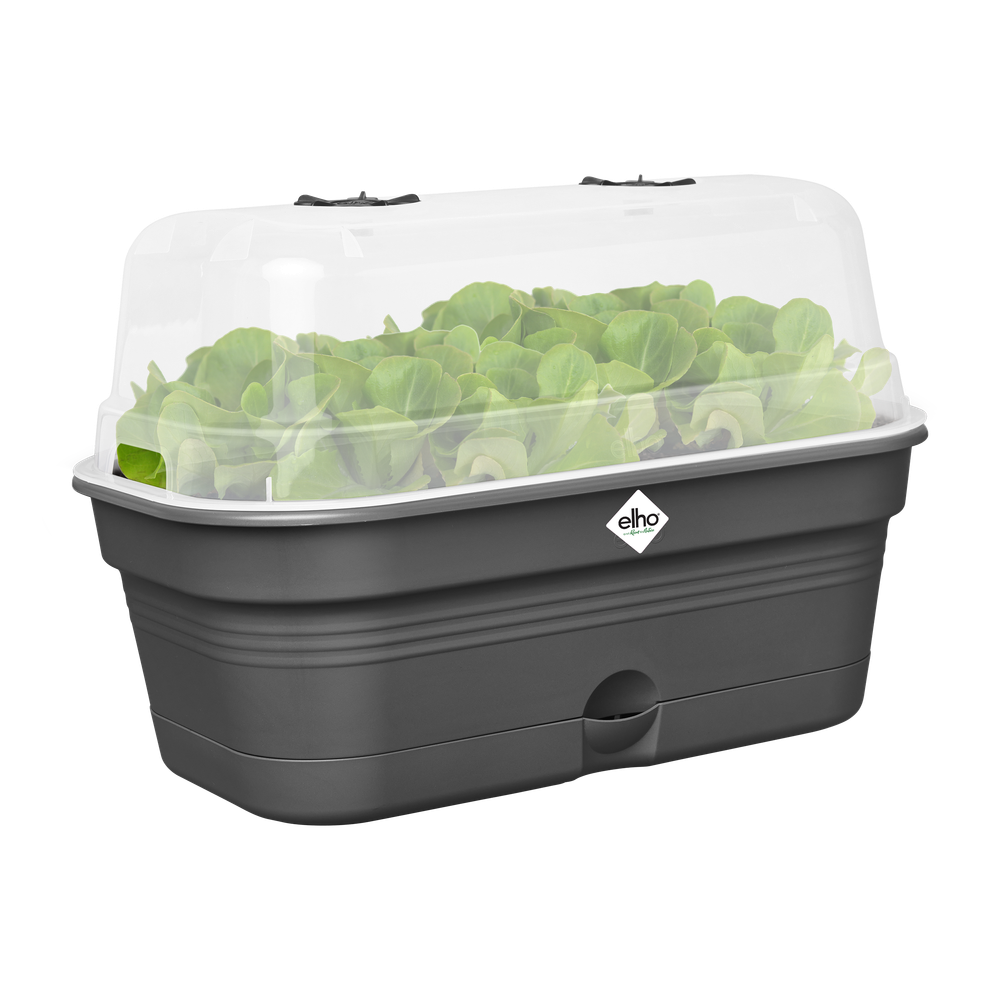 Green Basics Kweektray Allin1 M