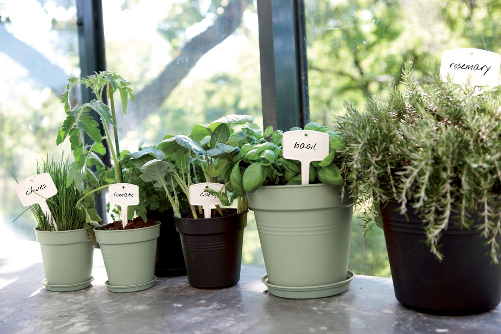 Green Basics Schotel 25