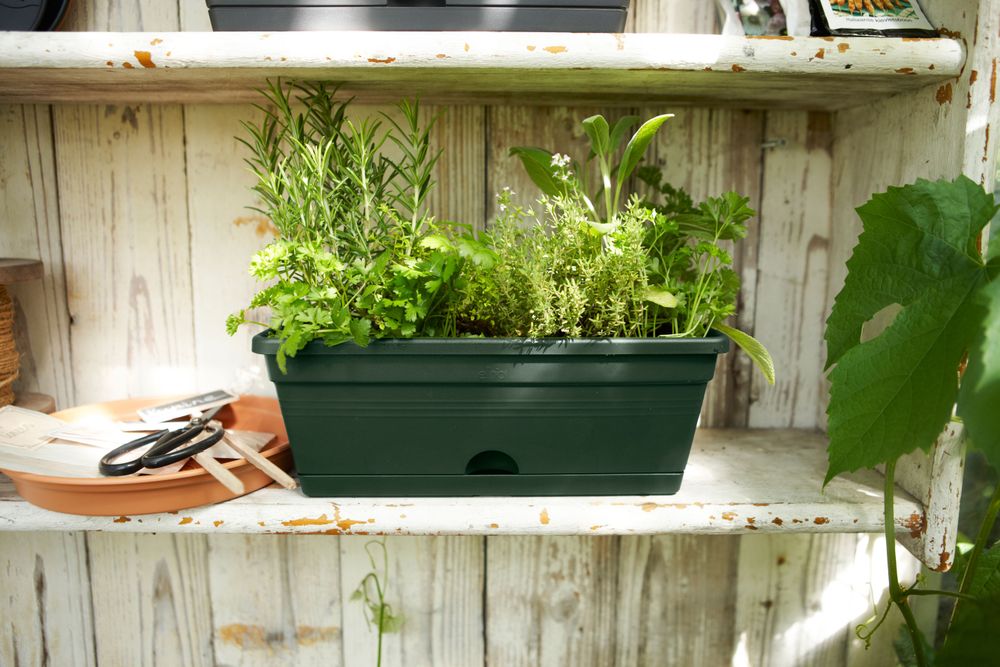Green Basics Balkonbak Mini 30