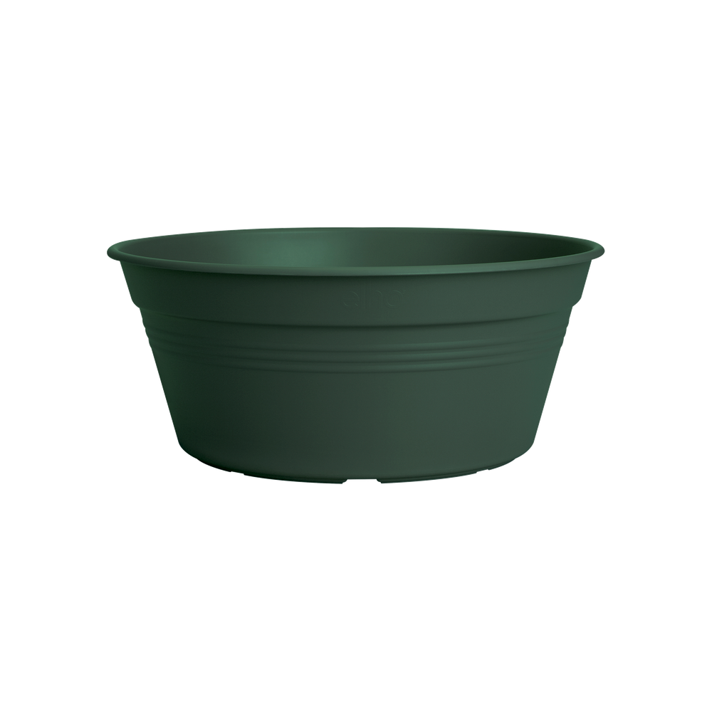Green Basics Schaal 33