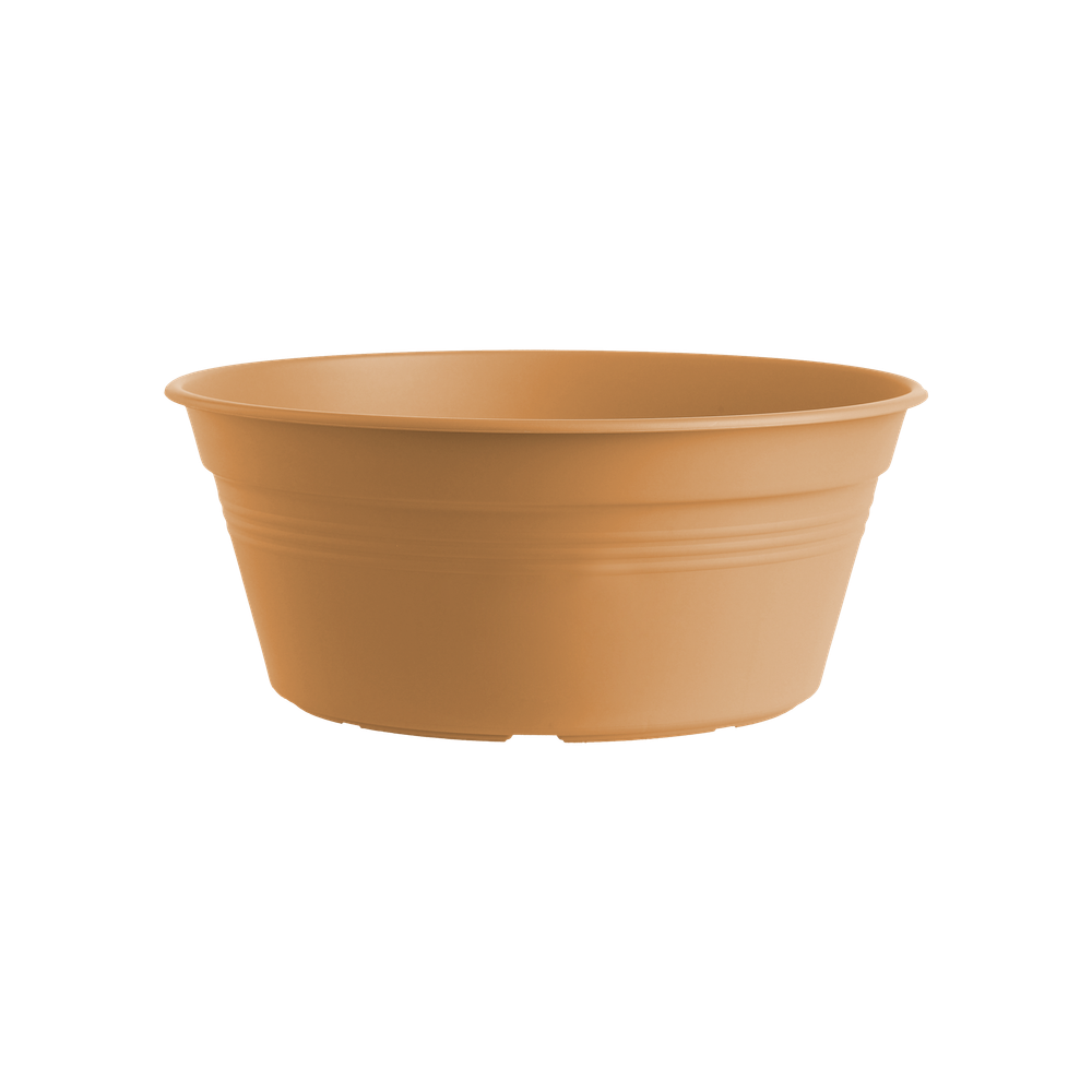 Green Basics Schaal 33