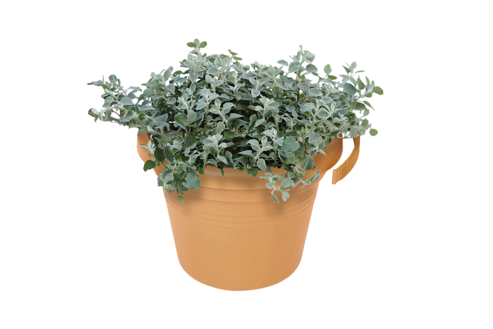 Green Basics Regenpijpbakje